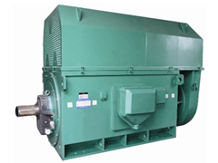 山西Y系列6KV高压电机